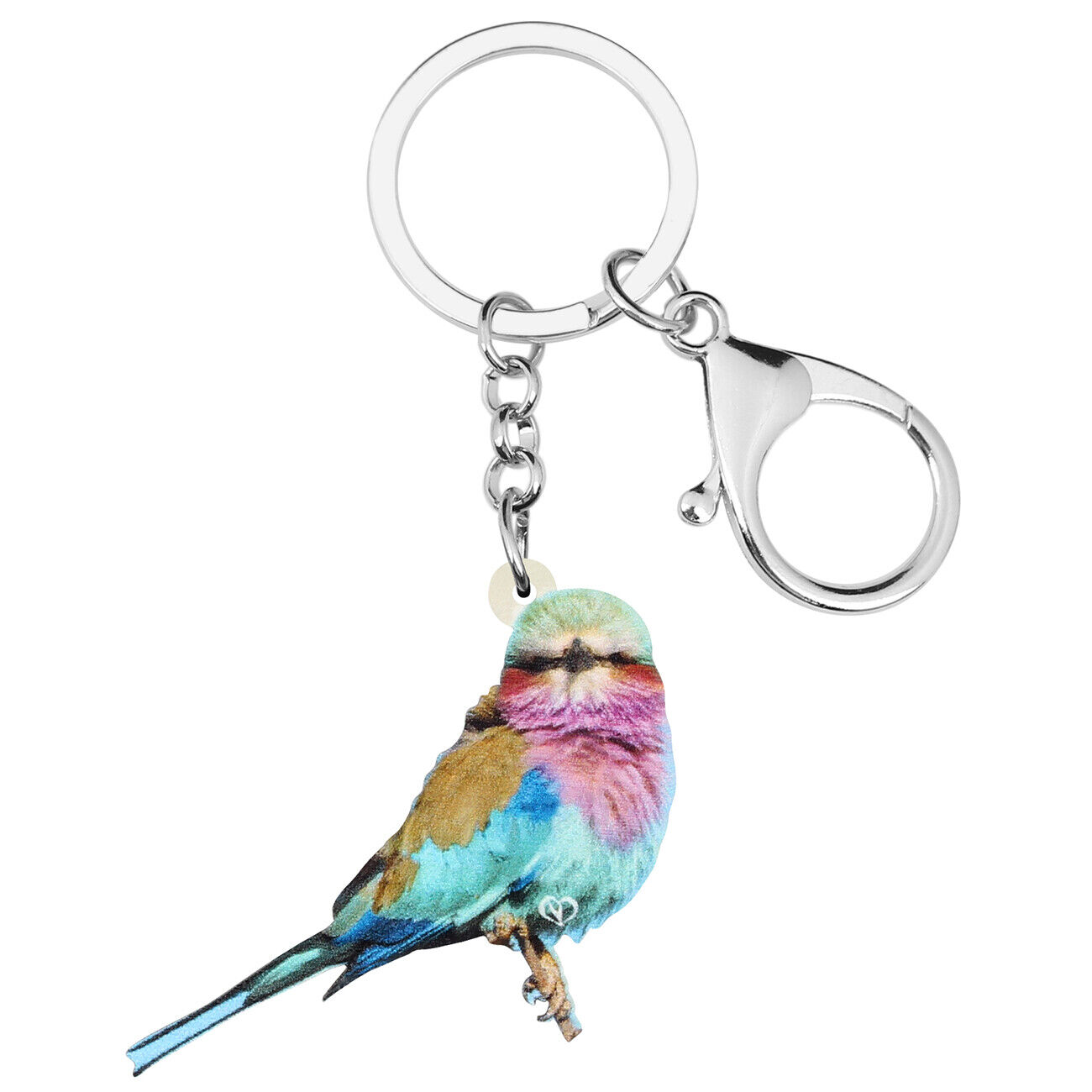 Acrylic Lilac-breasted Roller Bird Keychains Purse Car Key Ring Bag Charms Gifts